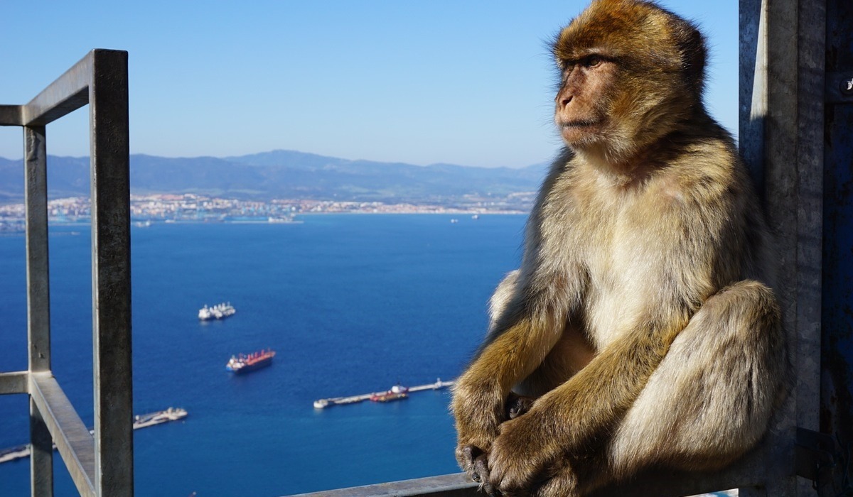 1 day trip to Gibraltar with departure from Vilamoura